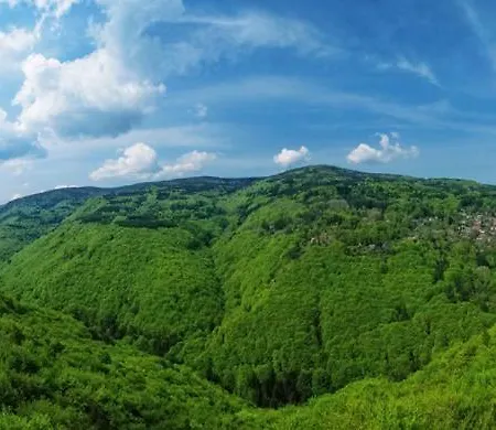 Hotel Eco Zdravetz