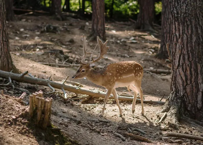 Eco Zdravetz Tsar Kaloyan (Plovdiv)